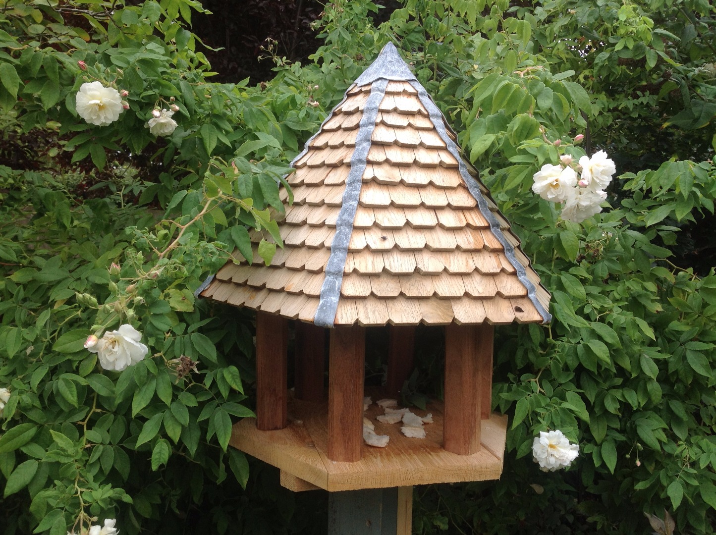 Bird Table.JPG