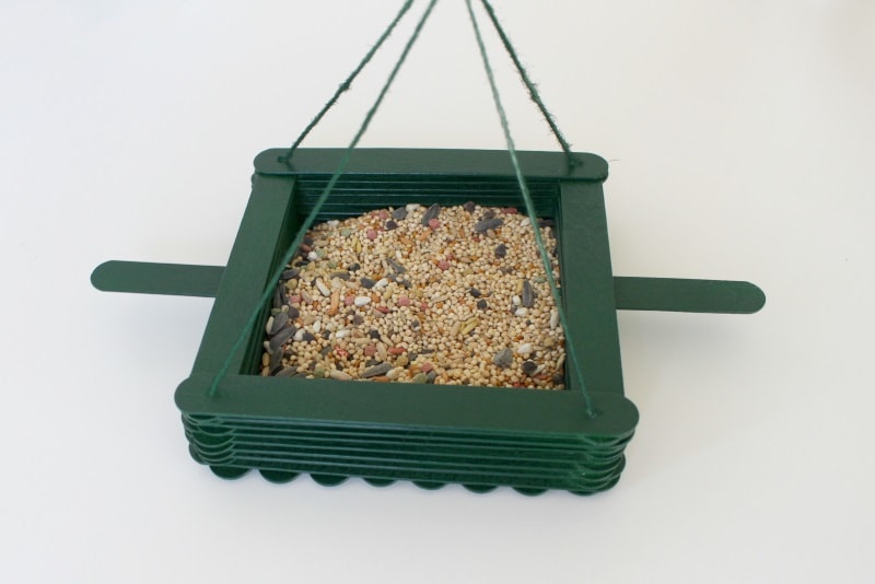 Bird feeder to make at home.jpg