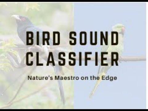 Bird sound classifier Arduino Nano33 BLE sense Demo