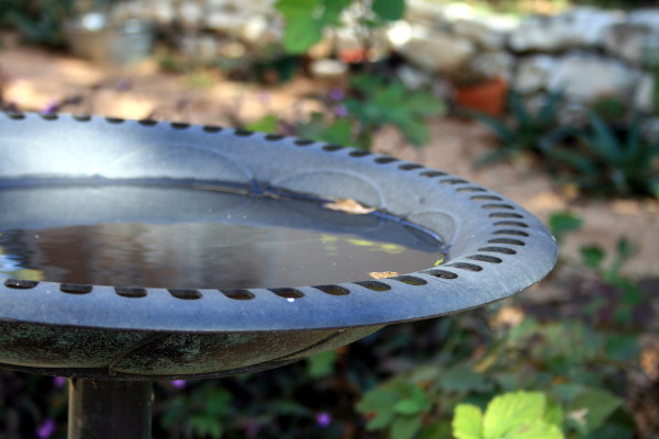 BirdBath.jpg