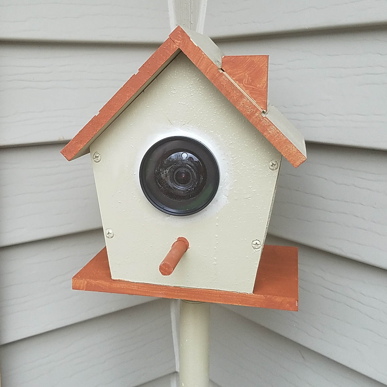 Birdhouse_Camera-12.jpg