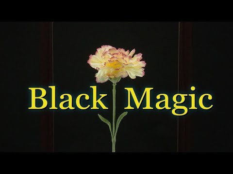 Black Magic (aka &amp;quot;Slow Dance&amp;quot;)