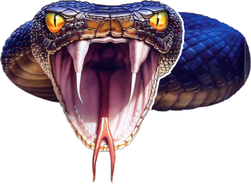 Black-Mamba-Snake-PNG-Photo.png