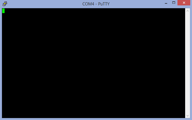 Blank PuTTY.png