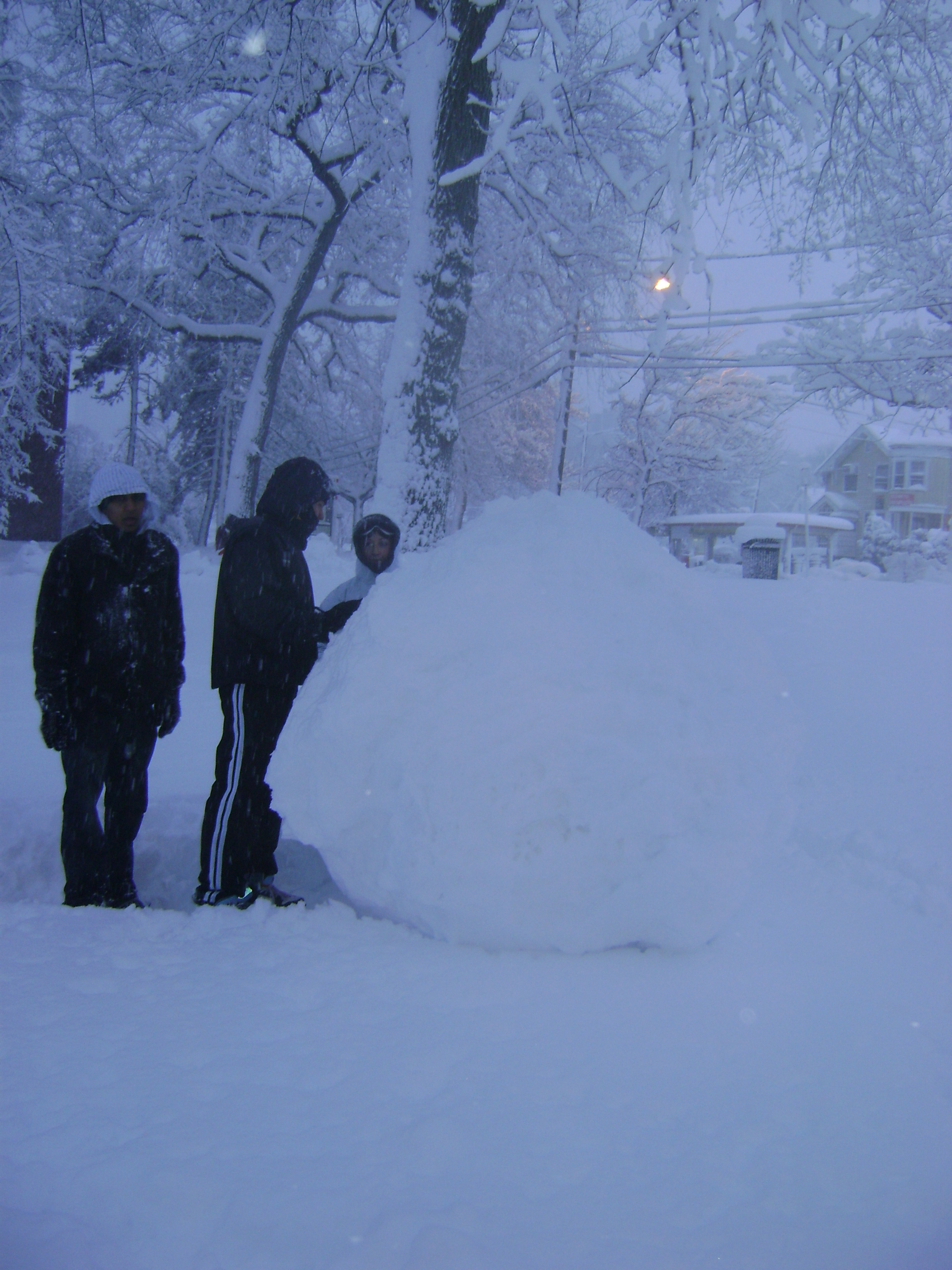 Blizzard 2010 (21).JPG