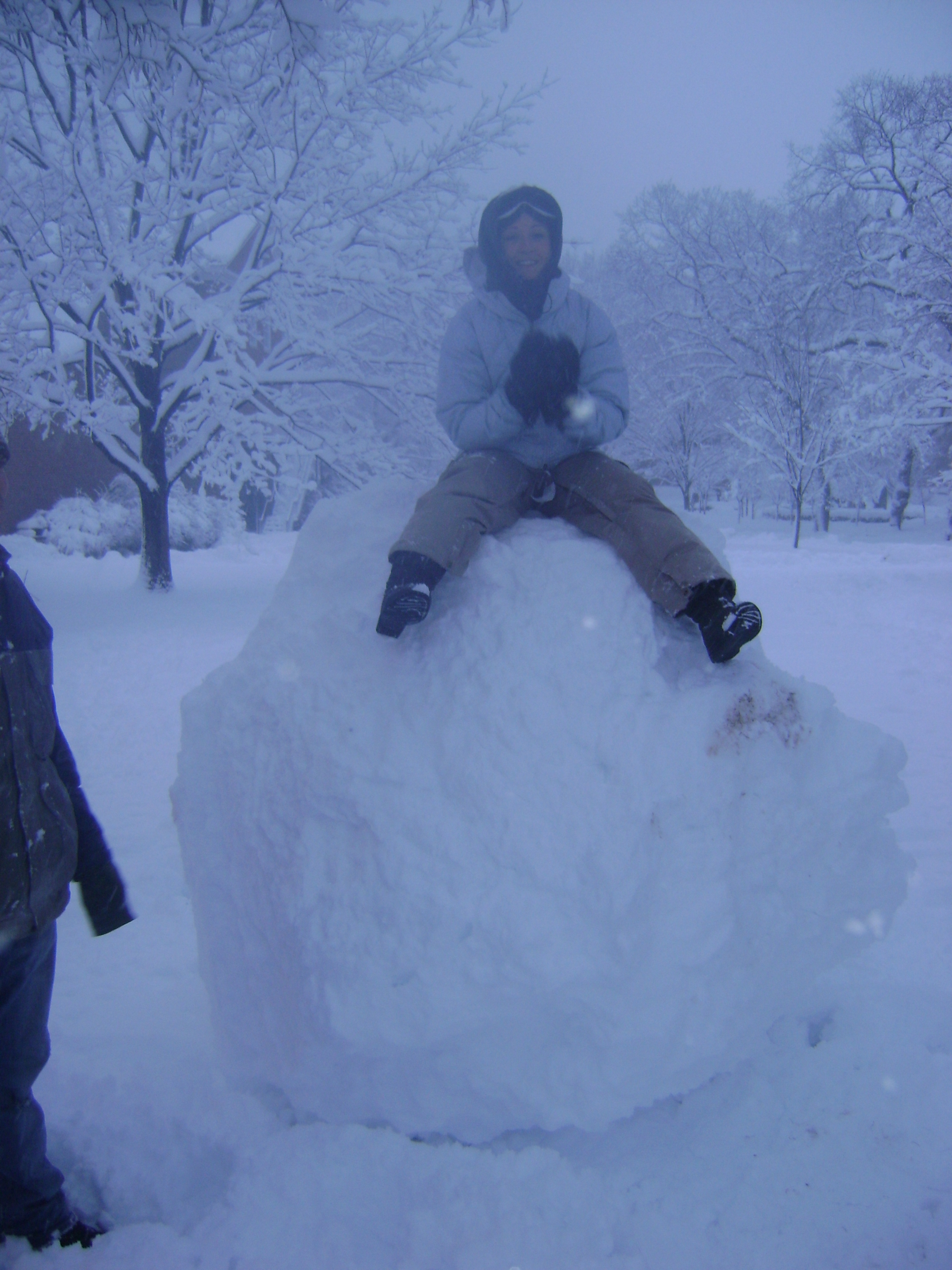 Blizzard 2010 (23).JPG