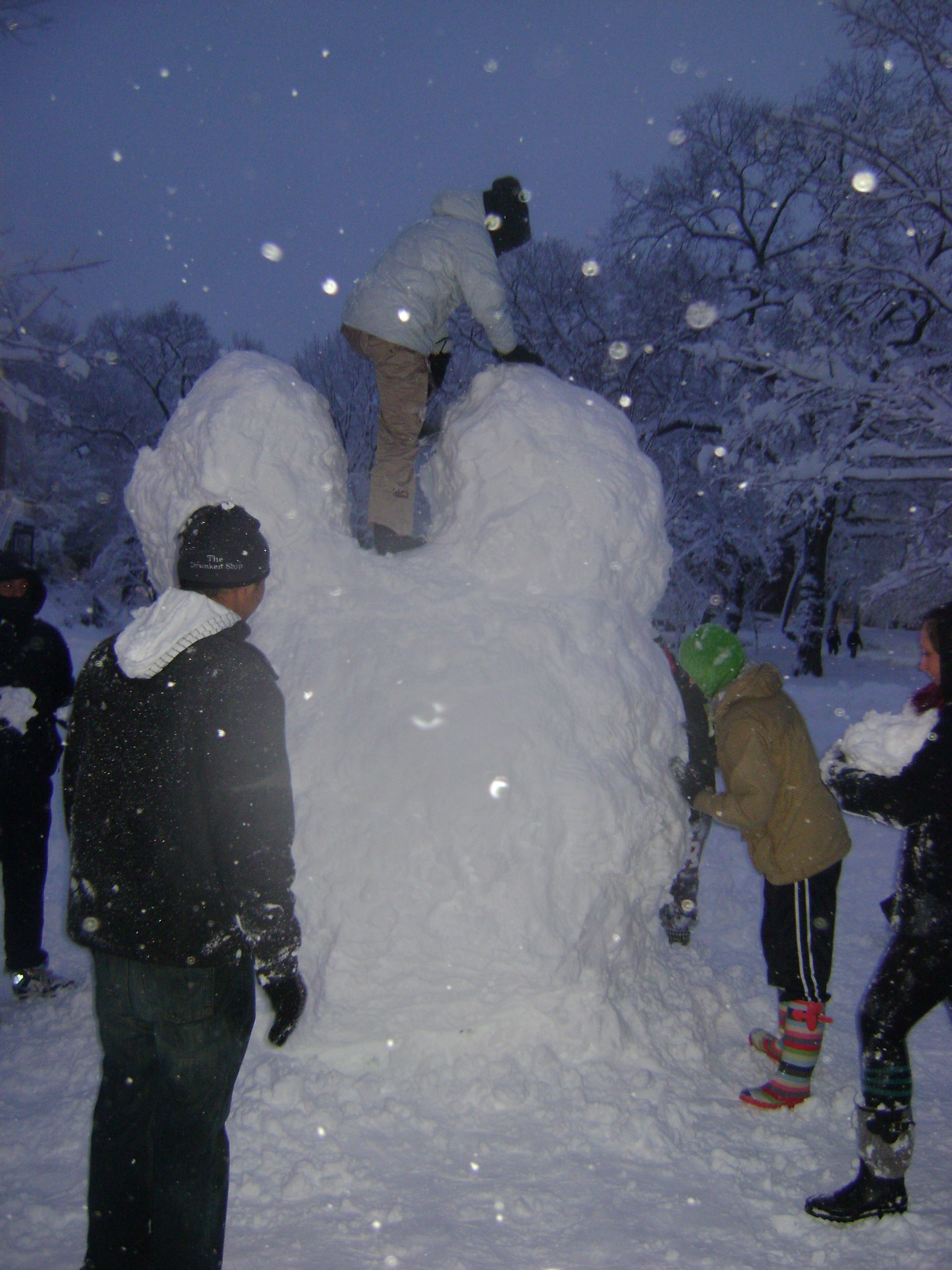 Blizzard 2010 (28).JPG