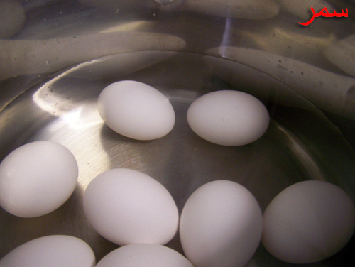 Boiling Eggs.jpg