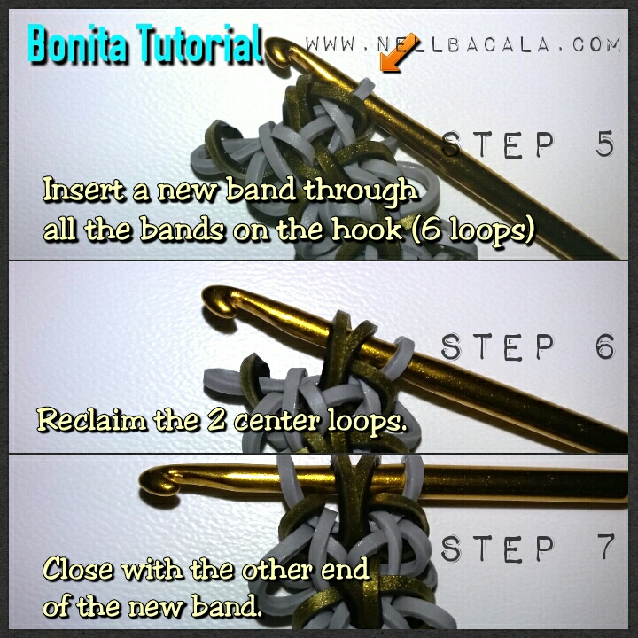 Bonita 4.jpg