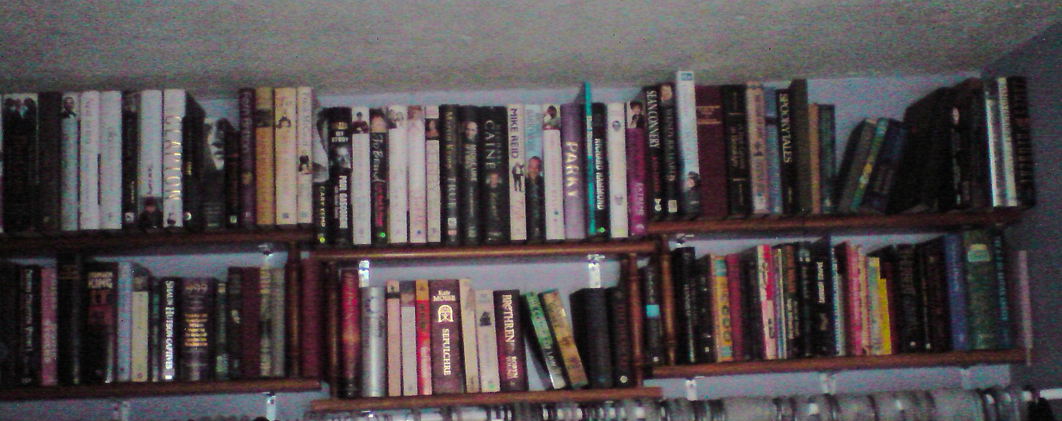 Book Shelves 6.jpg