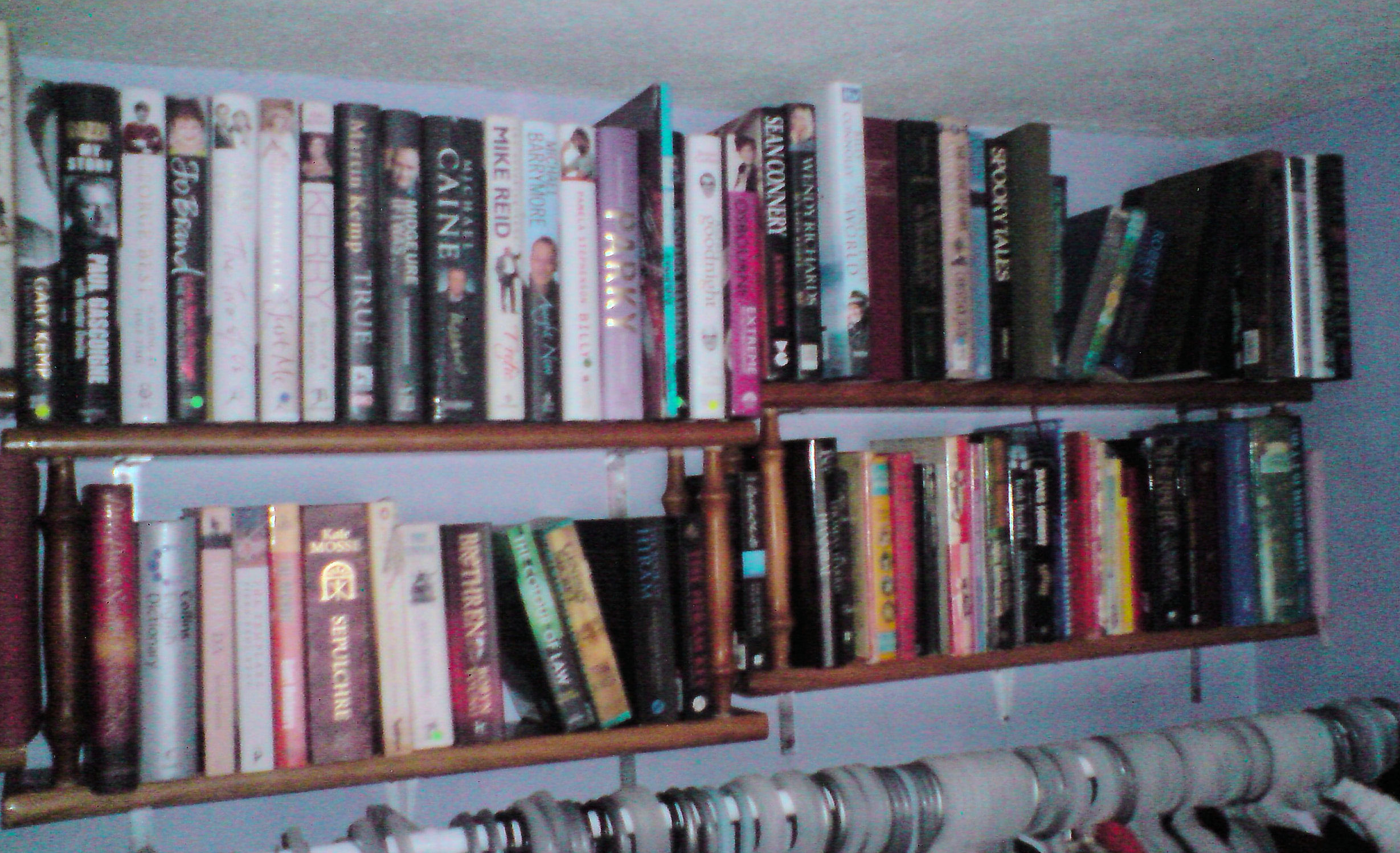 Book Shelves 7.jpg