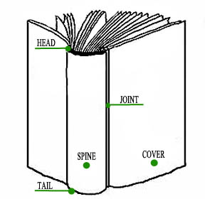 Book anatomy.jpg