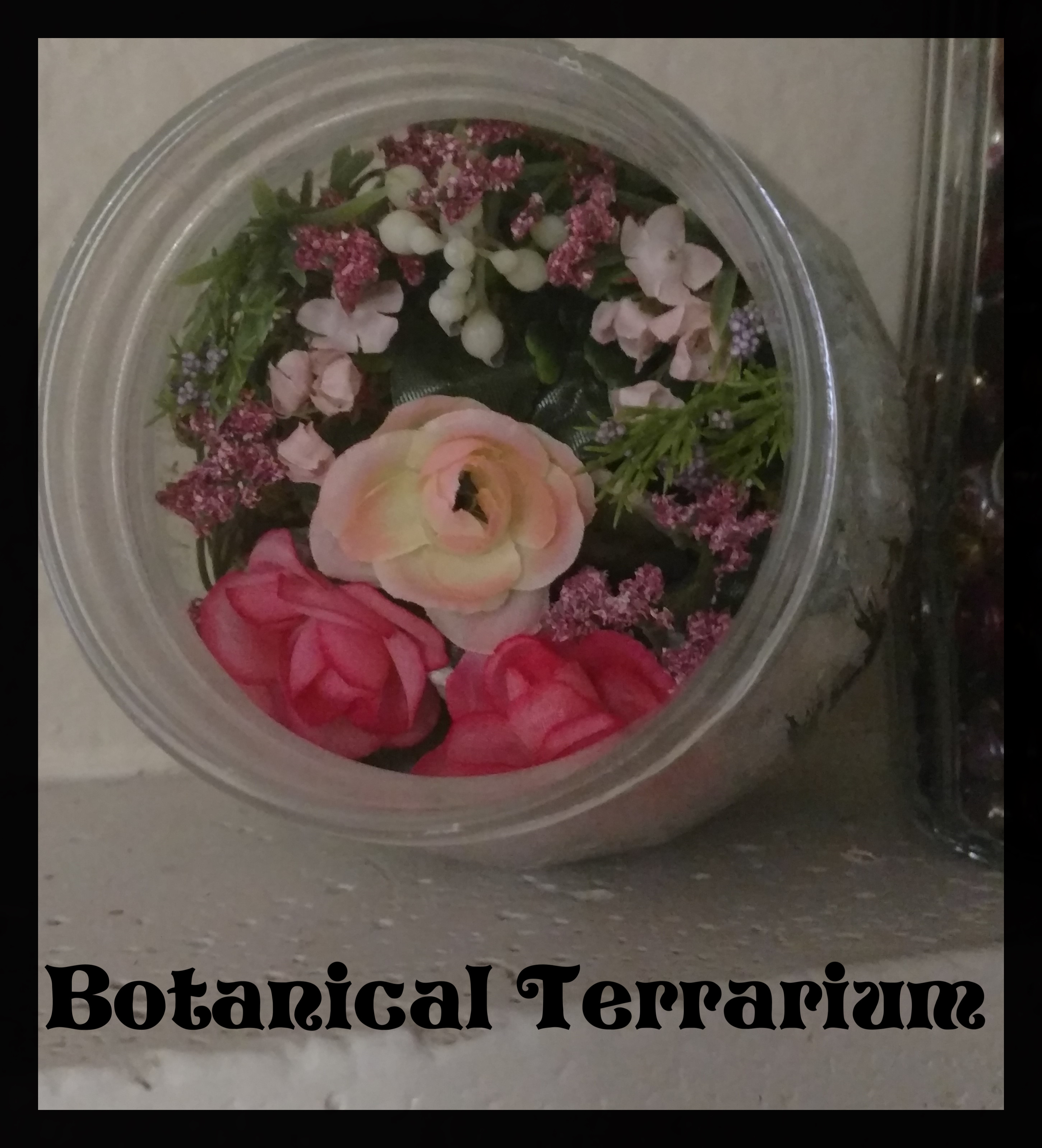 Botanical Terrarium.jpg