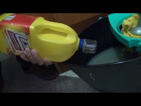 Bottle bleach dispenser