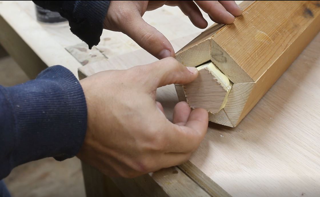 Bottom Glue Up.JPG