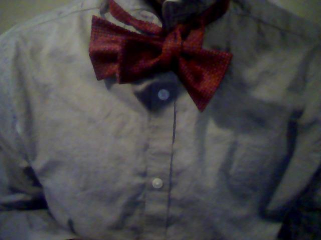 Bow Tie Step 12.jpg