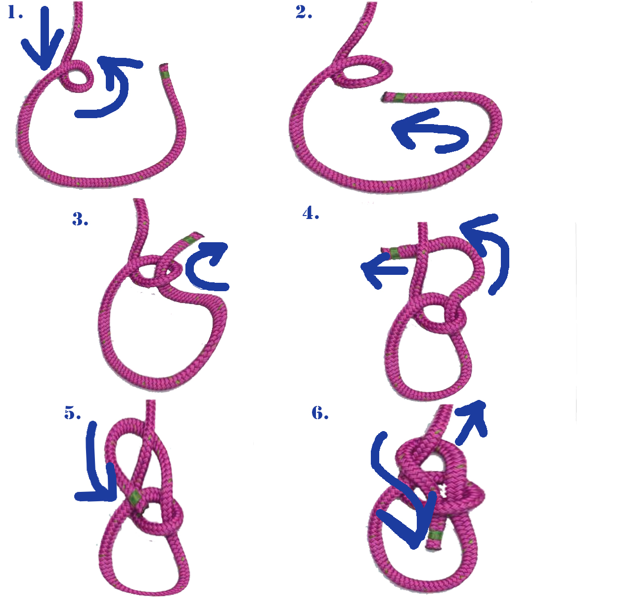 Bowline Knots.jpg