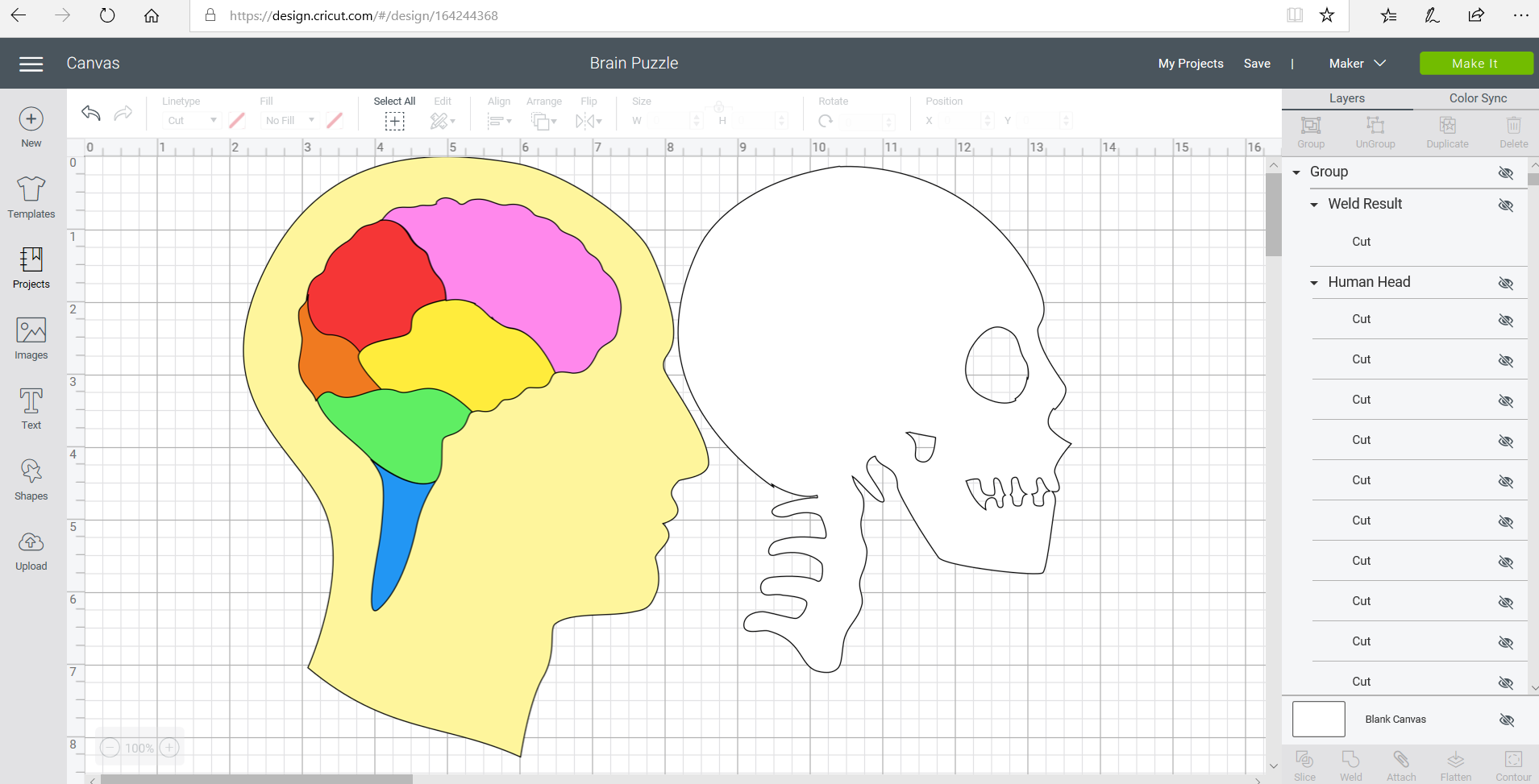 Brain Map Template.png