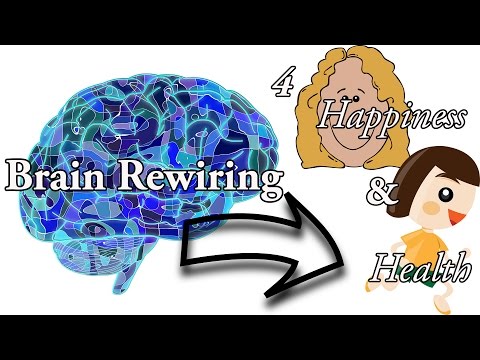 Brain Rewiring for Happiness &amp;amp; Long Term Weight Loss