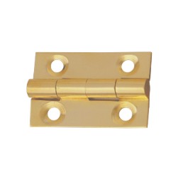 Brass_Small_Hinges.jpg