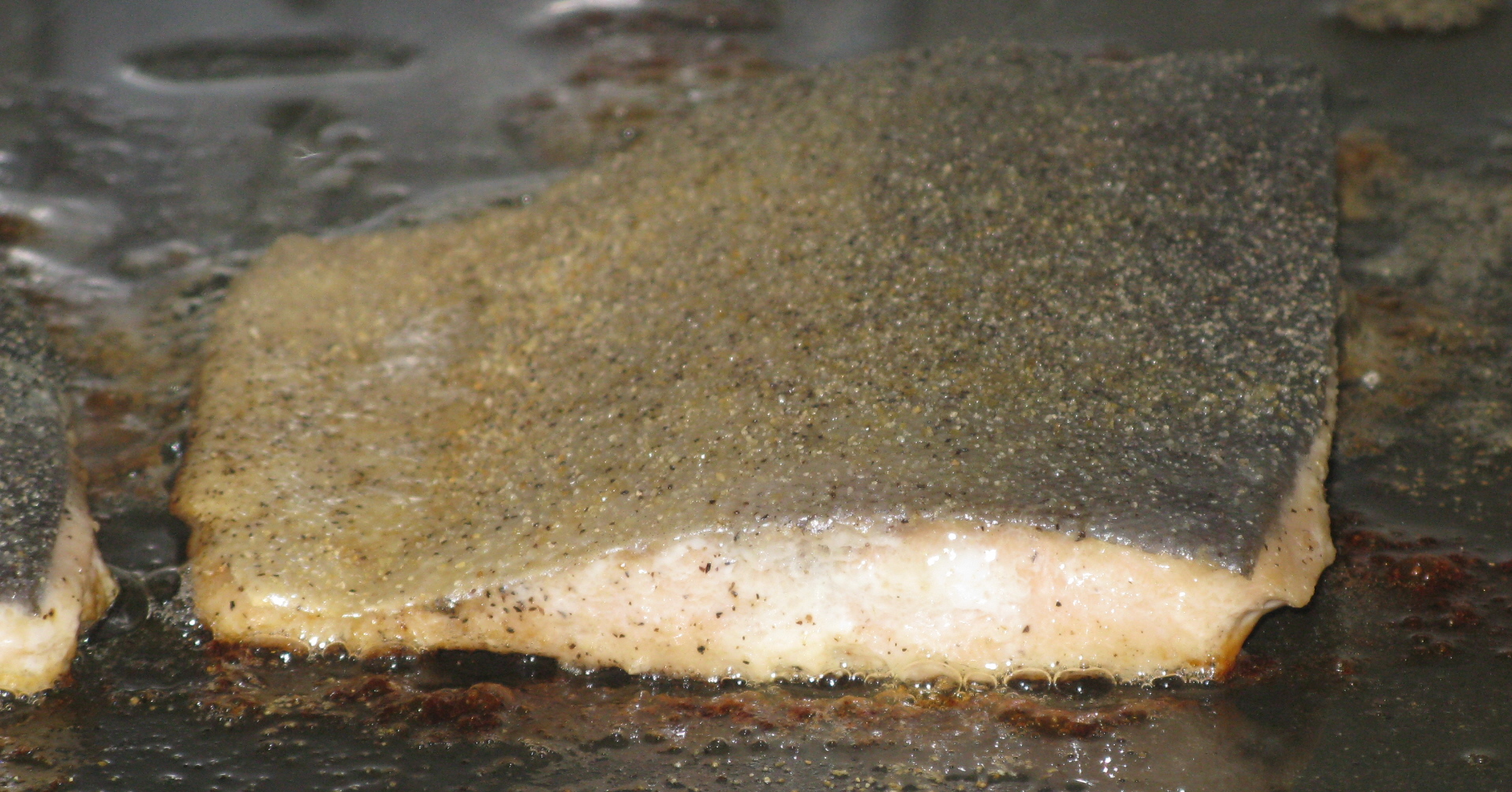 Brazed Salmon or Trout 12.jpg