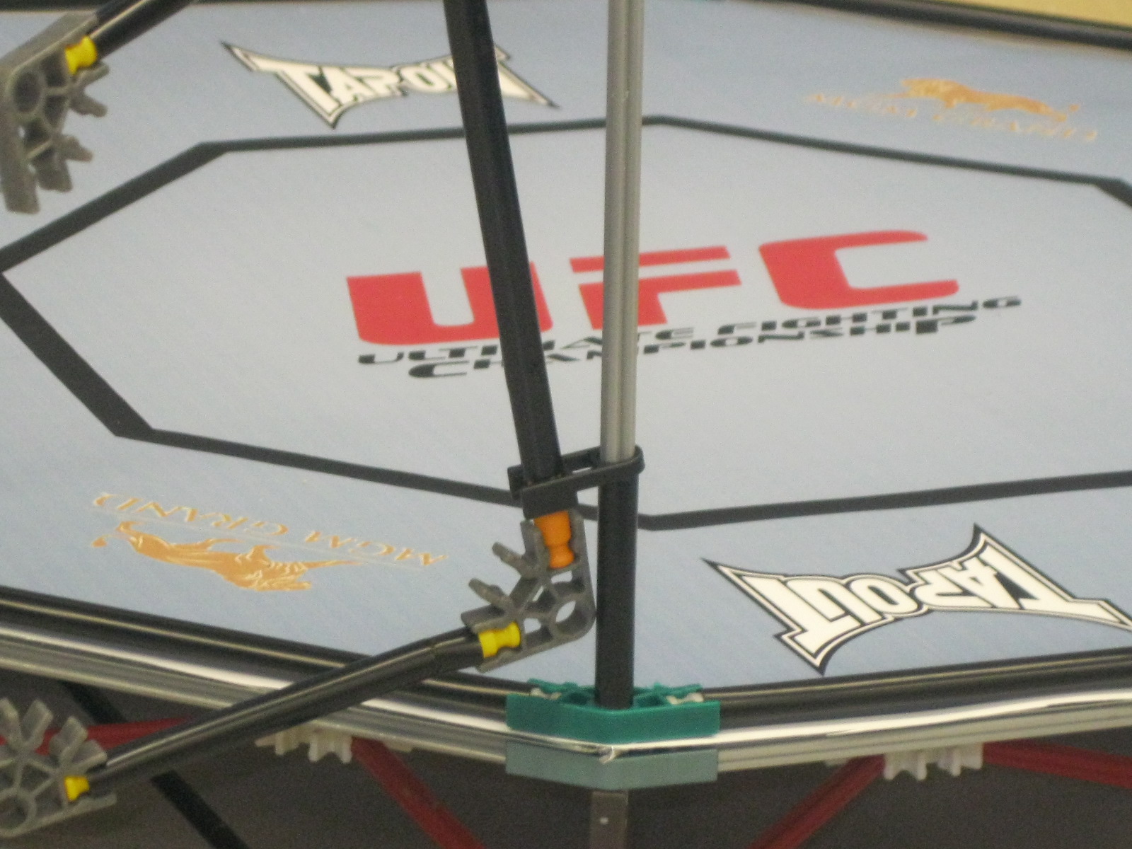 Brittneys UFC ring 083.jpg