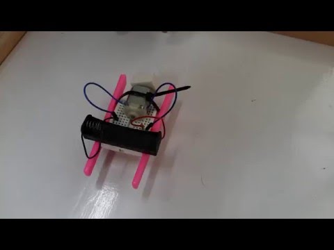 Brush InsectBot