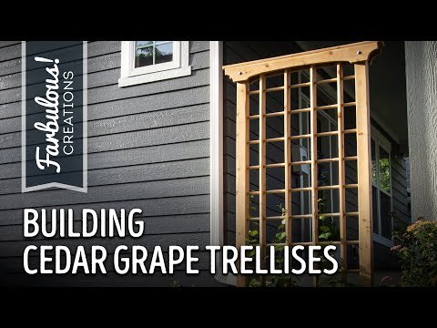 Building Cedar Grape Trellises