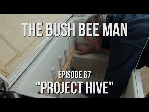 Building a Top Bar Bee Hive Using a Fridge (Part 2 of 5) - Episode 67: &amp;quot;Project Hive&amp;quot;