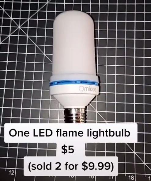 Bulb.JPG