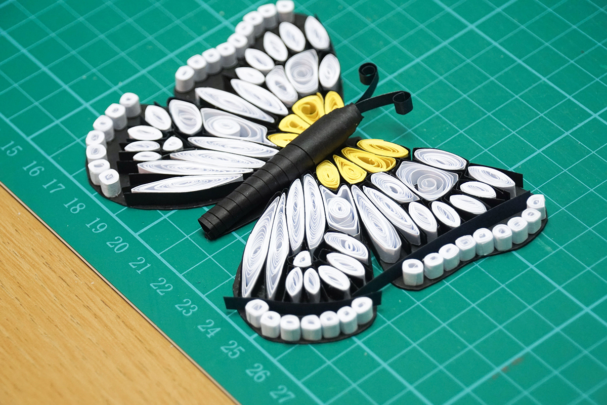 Butterfly 10a.jpg