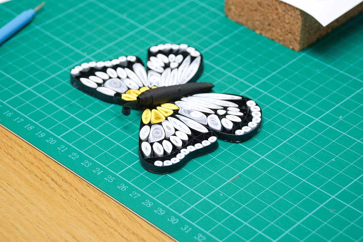 Butterfly 10e.jpg