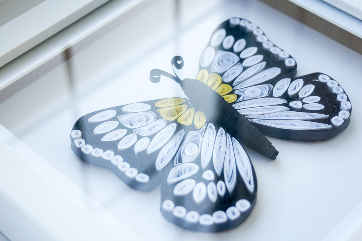 Butterfly 3k.jpg