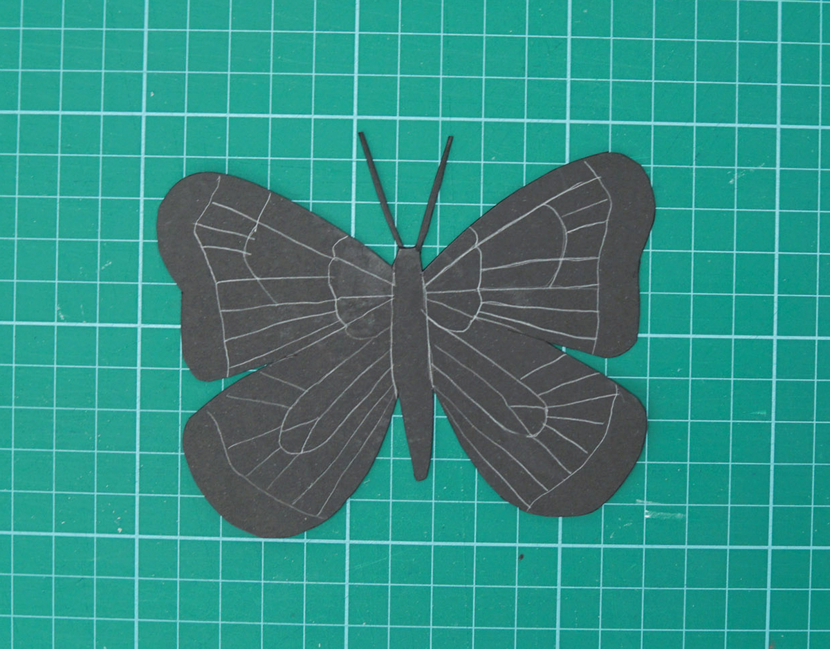 Butterfly 9e.jpg