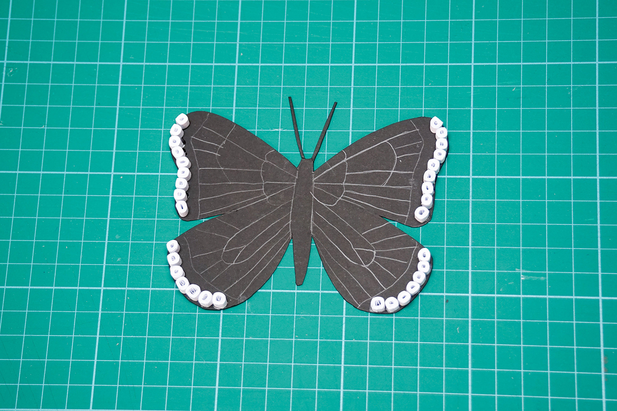 Butterfly 9f.jpg