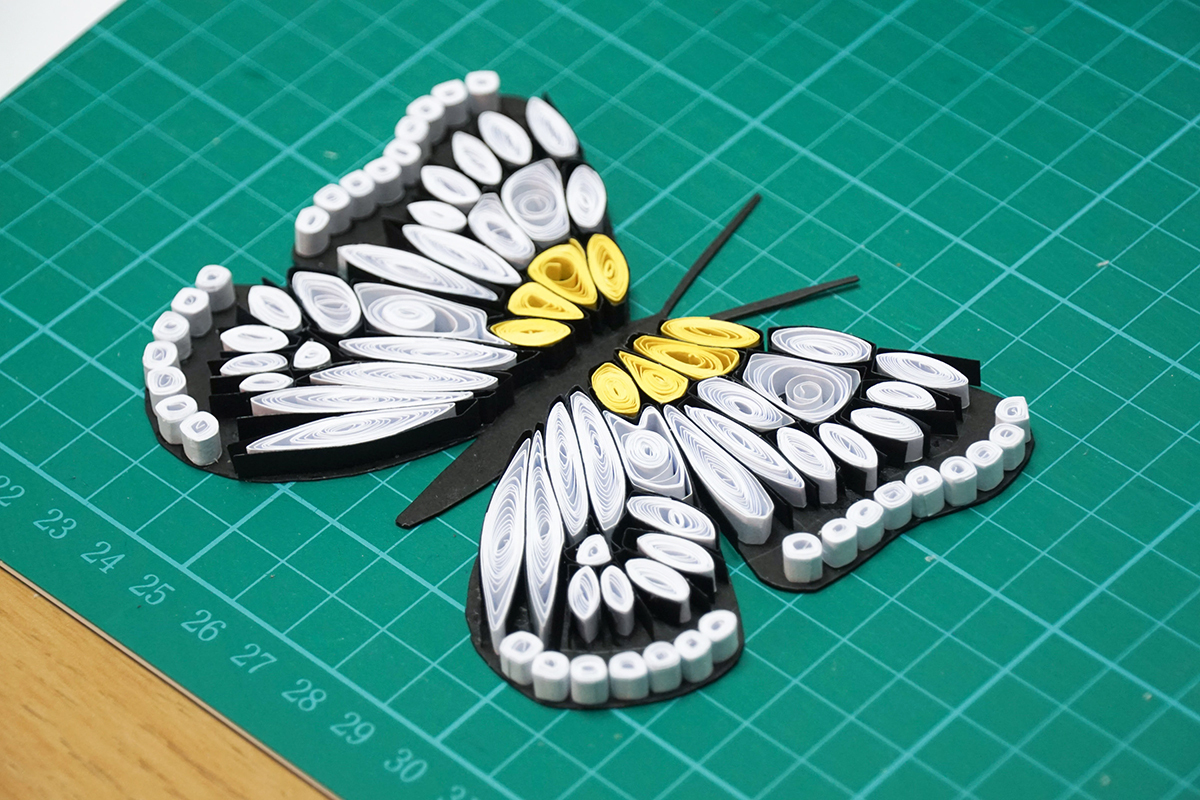 Butterfly 9j.jpg