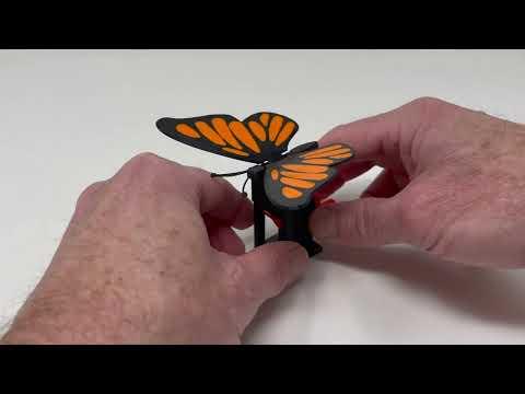 Butterfly Automaton