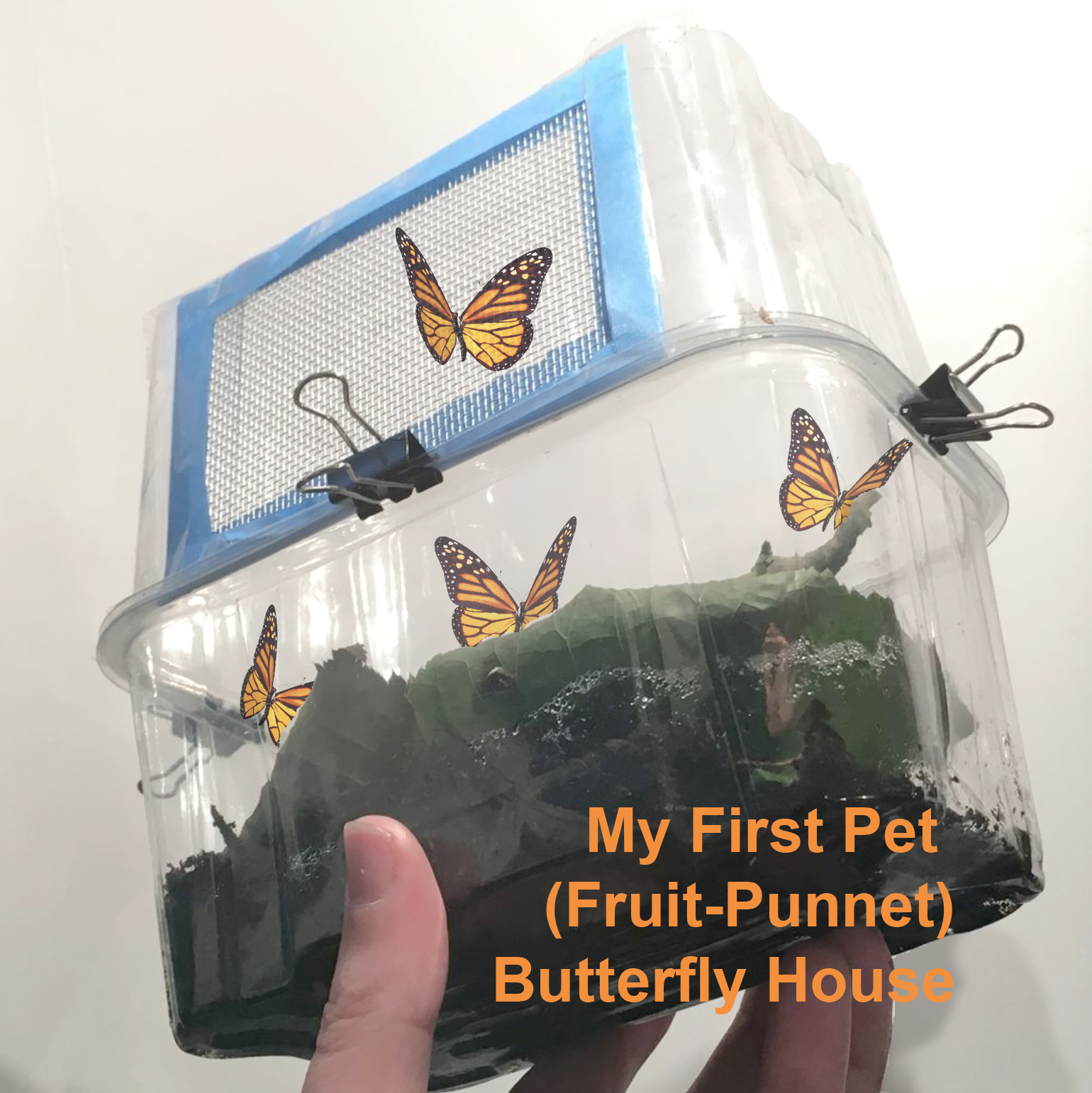 Butterfly House M2.png