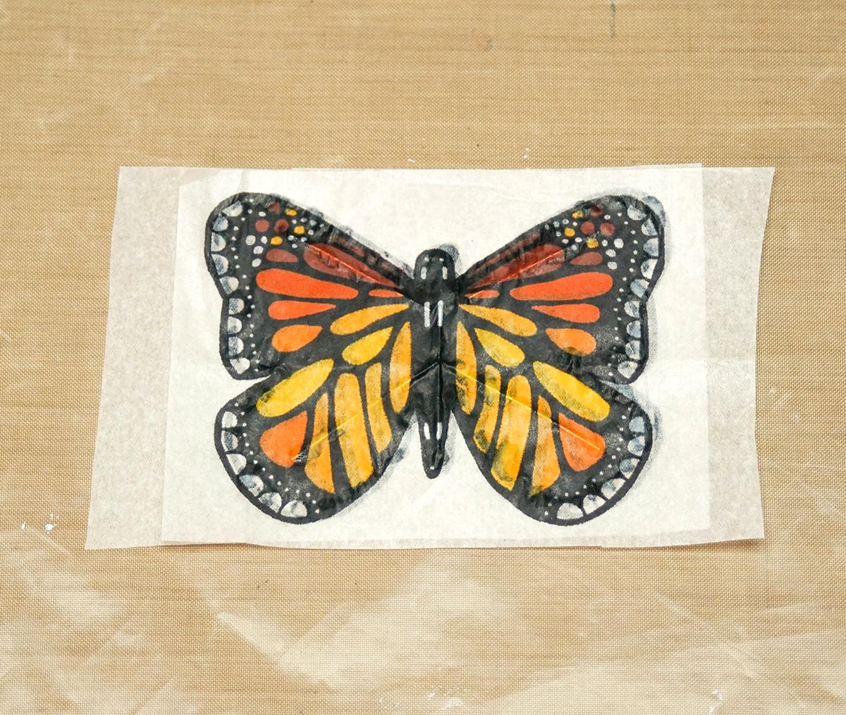 Butterfly Kite 2e.jpg