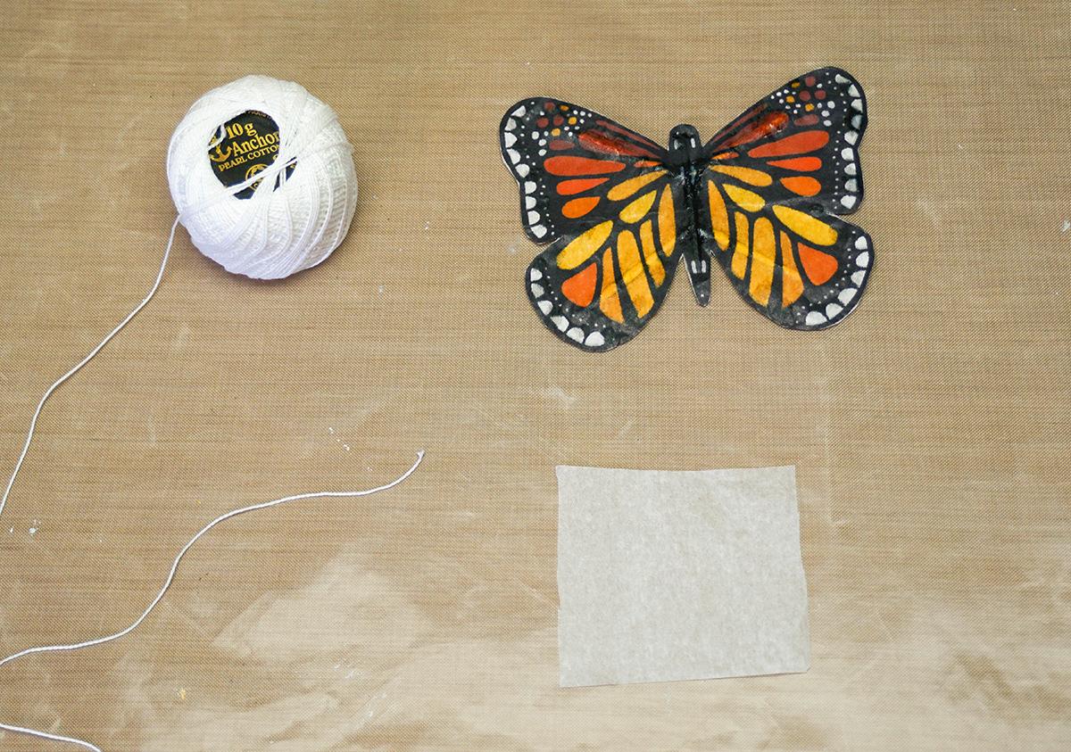 Butterfly Kite 4c.jpg
