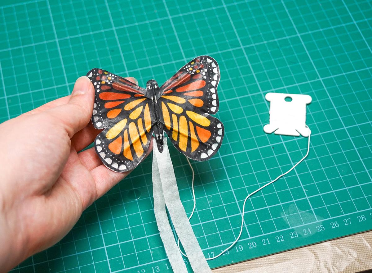 Butterfly Kite 5d.jpg