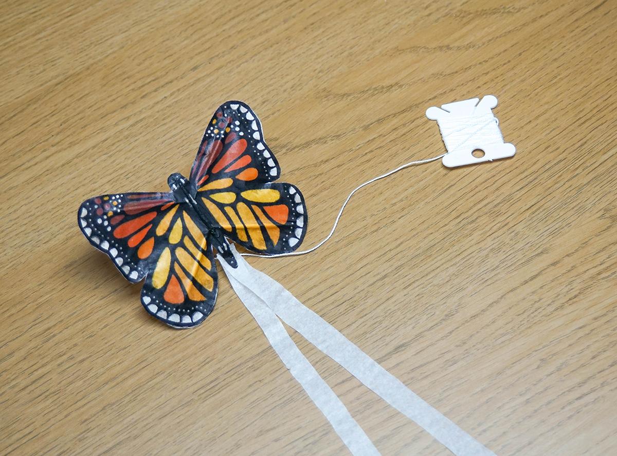 Butterfly Kite 5e.jpg