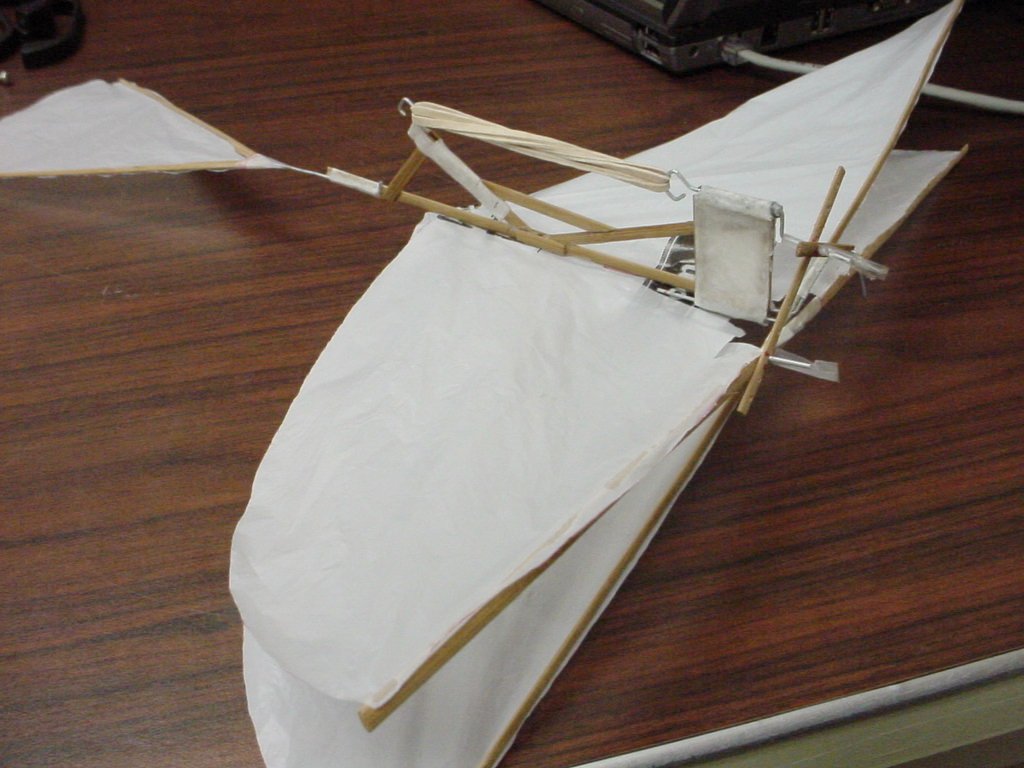 C:\Documents and Settings\StdUser\My Documents\Instructables\Ornithopter\big (3).JPG