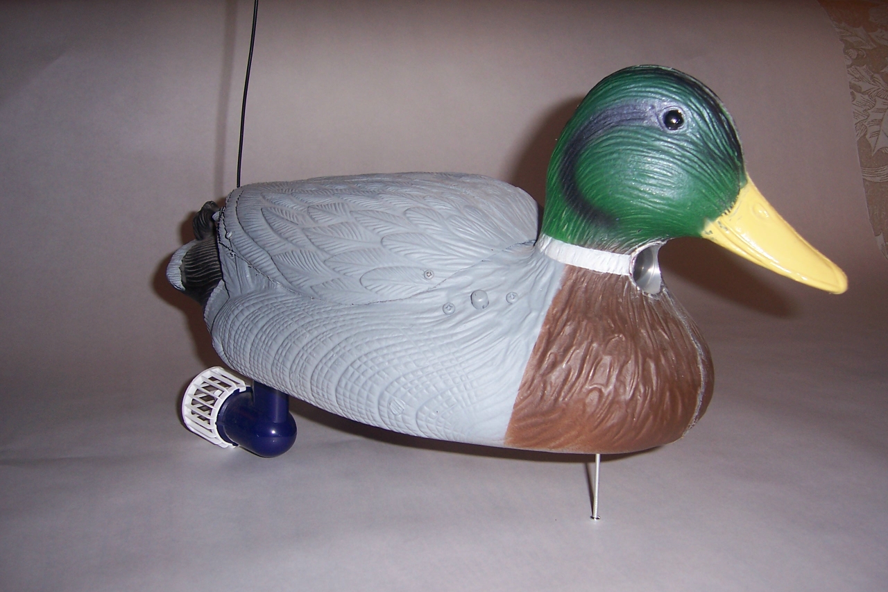 C:\WINDOWS\Desktop\Surveilence Duck.jpg