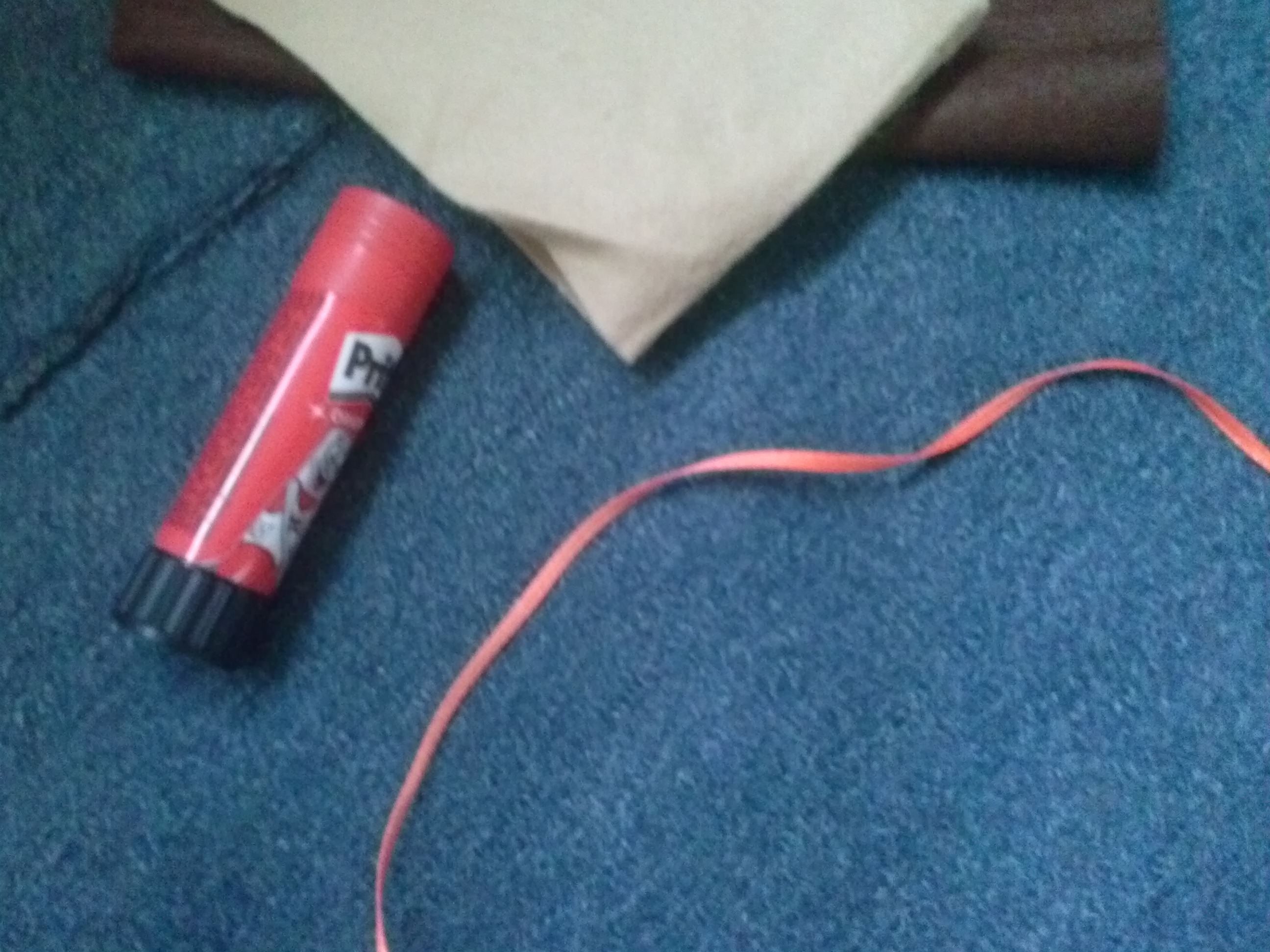CAM06031.jpg