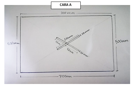 CARA A.PNG
