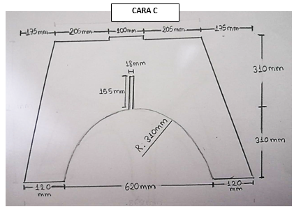 CARA C.PNG