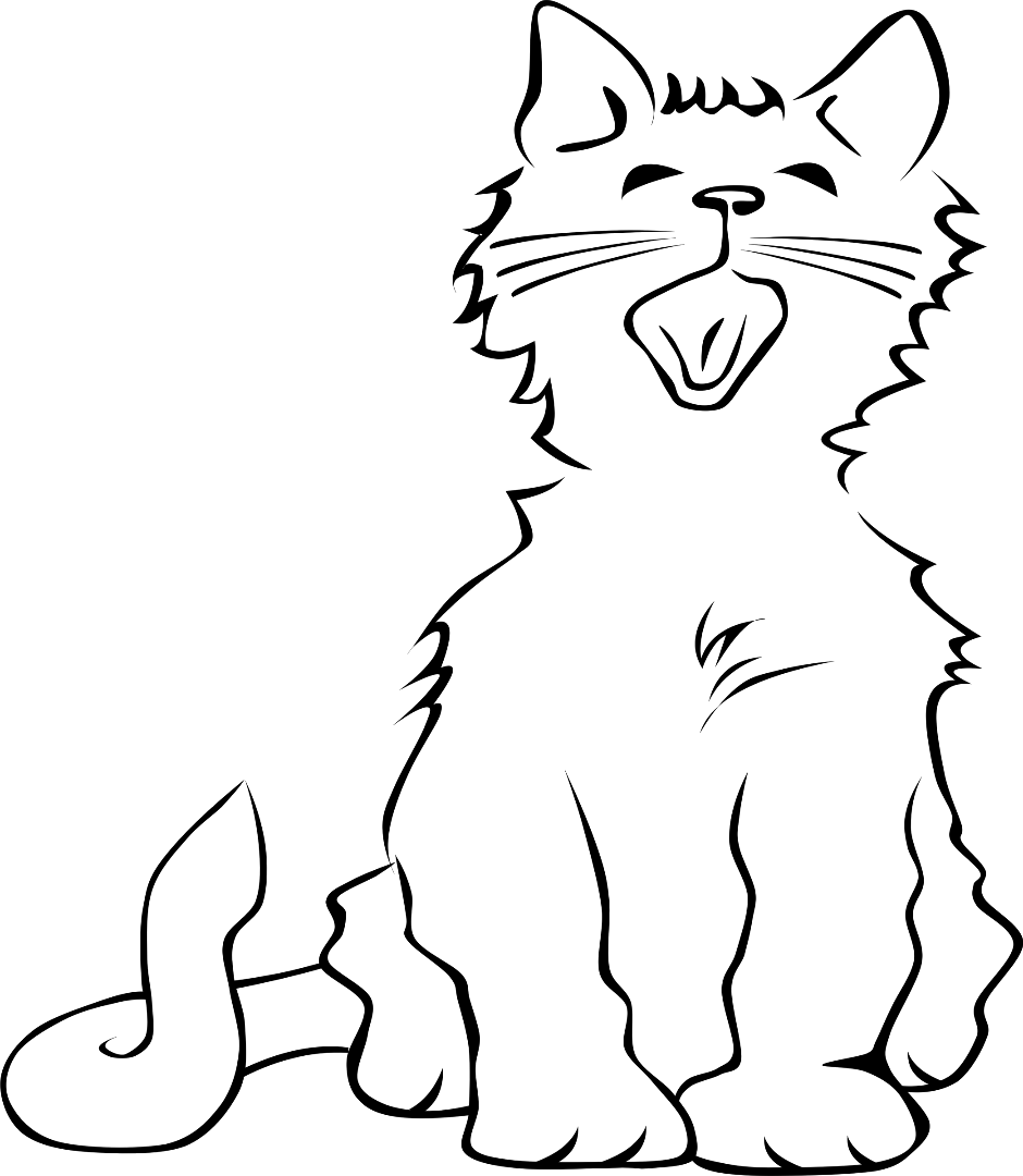 CAT.png