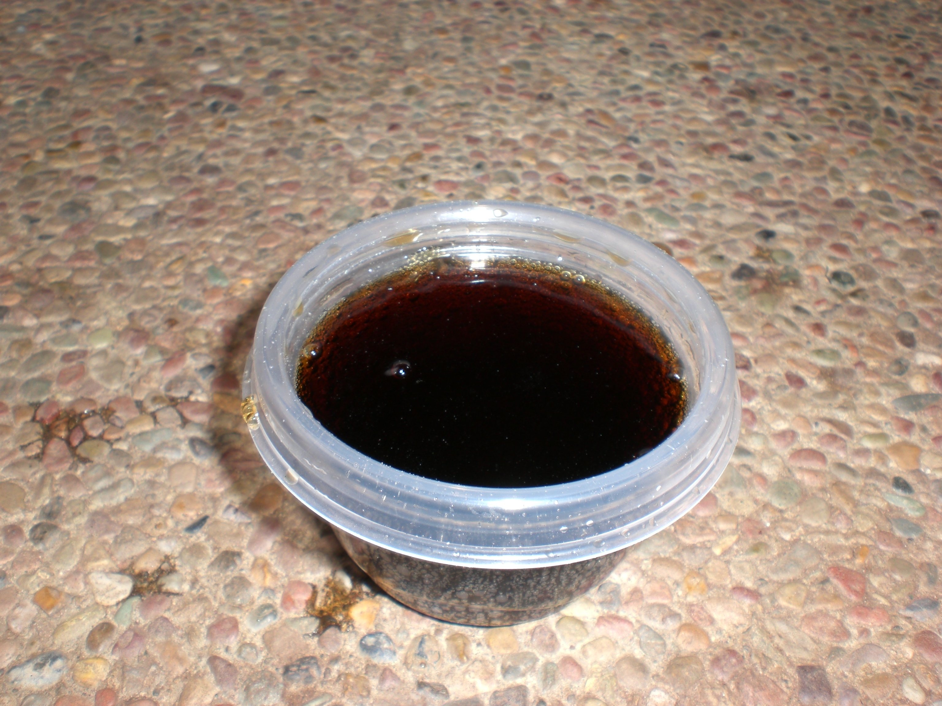 CIMG0135.JPG