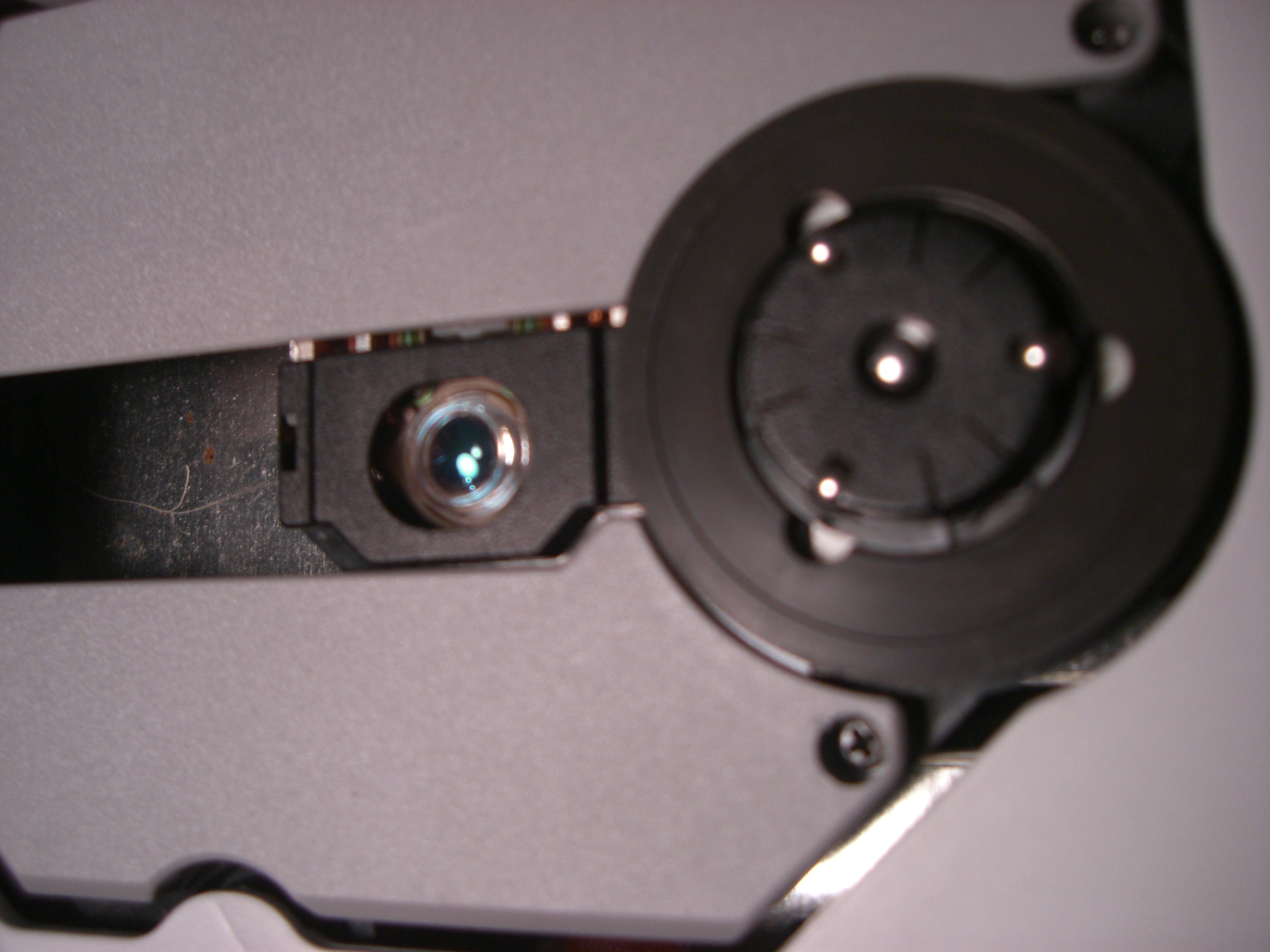 CIMG0702.jpg